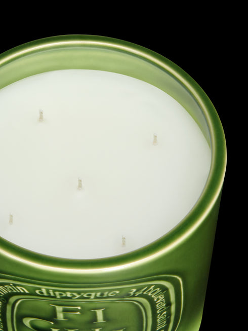 Figuier / Fig Tree Giant Candle